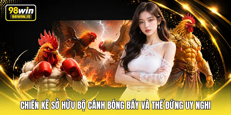 Chiến kê sở hữu bộ cánh bóng bẩy và thế đứng uy nghi