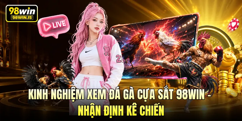 Kinh Nghiệm Xem Đá Gà Cựa Sắt 98WIN - Nhận Định Kê Chiến